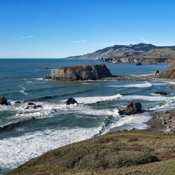 Sonoma Coast